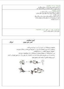 طرح درس شهید همت فصل 13 زیستگاه علوم تجربی پایه چهارم ابتدایی
