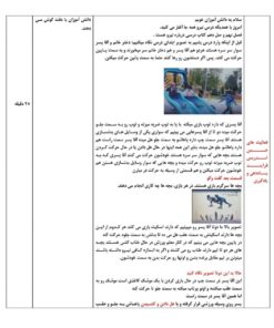 طرح درس تمام ساحتی نیرو همه جا علوم پایه سوم ابتدایی