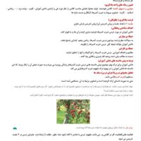 طرح درس شهید همت ضرب کسرها ریاضی پایه پنجم ابتدایی