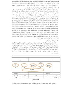 مدیریت مالی و اثر دانینگ کروگر خودبینی