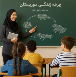 طراحی آموزشی علوم سوم | چرخه زندگی دوزیستان بر اساس ساحت‌های شش‌گانه